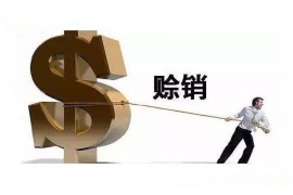 吉安融资清欠服务